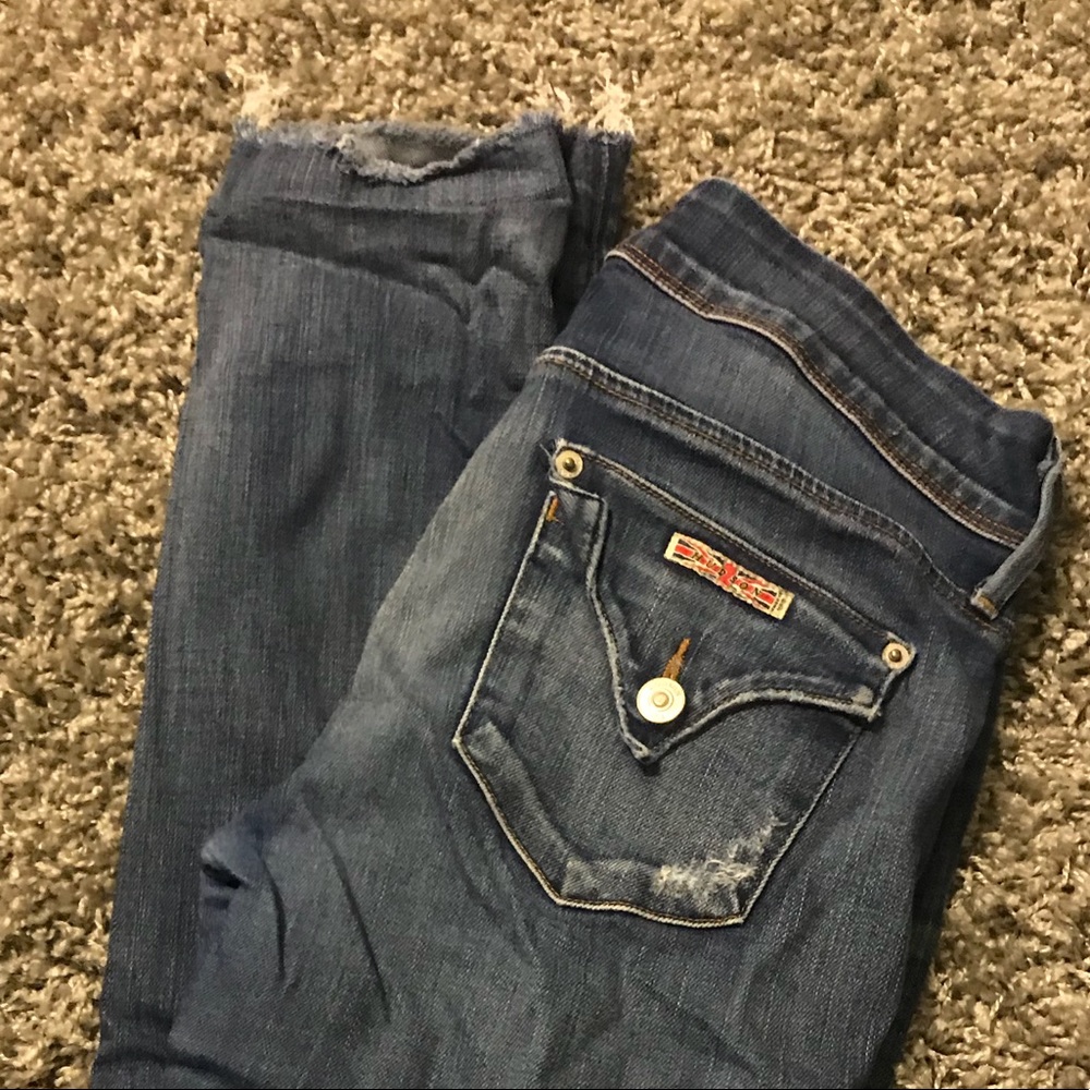 Raw Edge Hudson Jeans